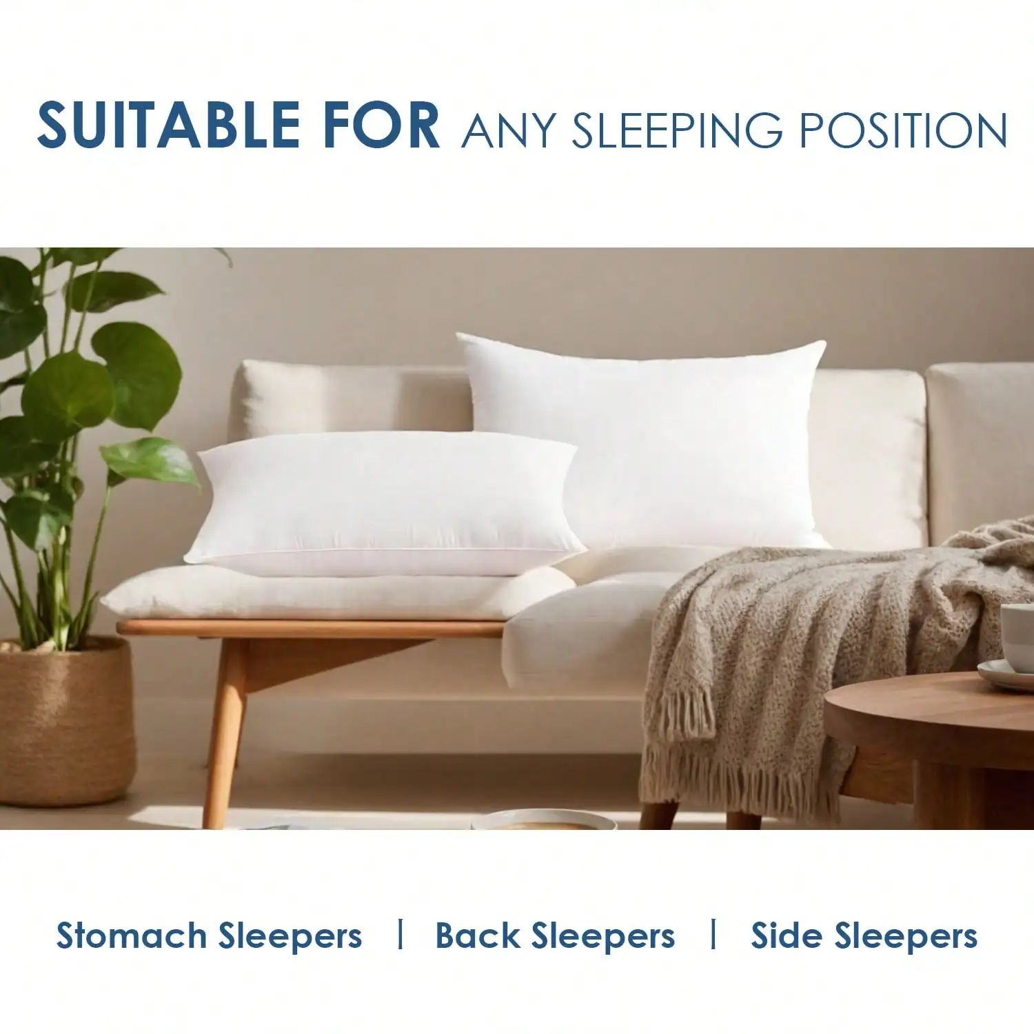 ชุด 2 ชิ้น และ ชุด 4 ชิ้น ไส้ห - Pillow Insert 18X18 บทวิจารณ์และราคา